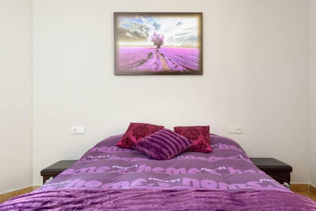 Apartamento En Pleno Centro, Wifi, Ideal Apartman Granada Kültér fotó