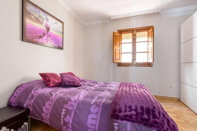 Apartamento En Pleno Centro, Wifi, Ideal Apartman Granada Kültér fotó